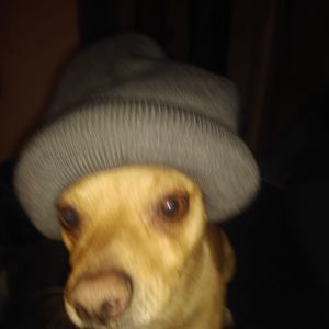 Meet your Posher, Paul